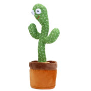 Magic Dancing cactus can sing